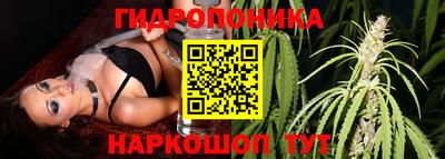 дурь Дубна