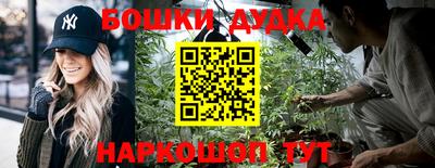 спиды Донской