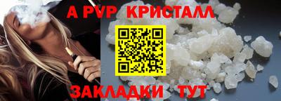 спиды Донской