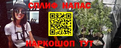 молекула духа Донецк